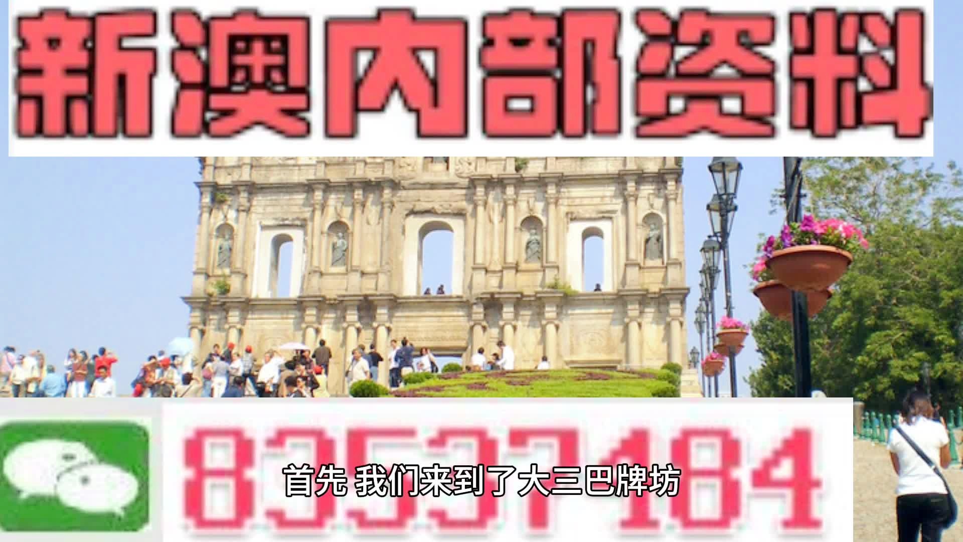 2024年新澳资料免费公开|精选解释解析落实