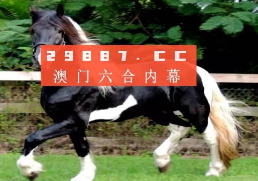 澳门香港一肖一码一中一特免费公开|文明解释解析落实