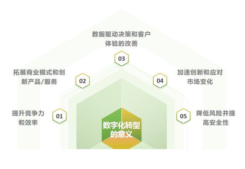 江苏无雀数据科技，引领数字化转型的新力量