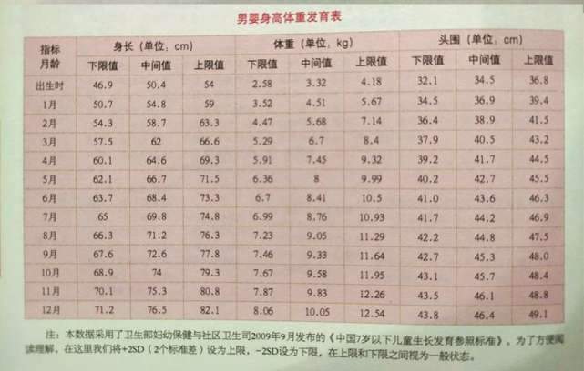 六个月宝宝头围41，发育里程碑与关注重点