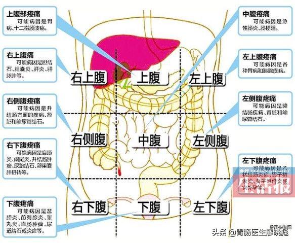 关于7个月孕妇左下腹刺痛的研究与探讨