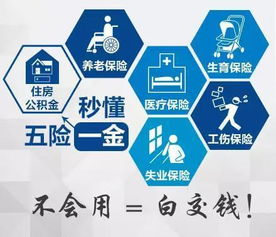 五险交纳时间解析，每月何时交纳五险一金？