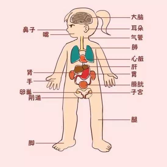 男生每个月来的那叫啥——关于男性生理周期的科学解析