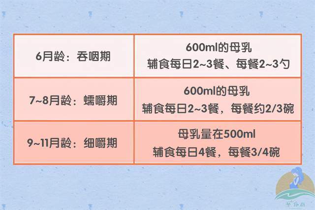 纯奶粉宝宝辅食添加的时机与注意事项