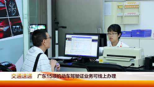 广东省驾驶证核实查询，便捷、高效的服务体验