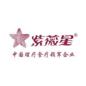 广东熊讯科技有限公司，引领科技创新的先锋