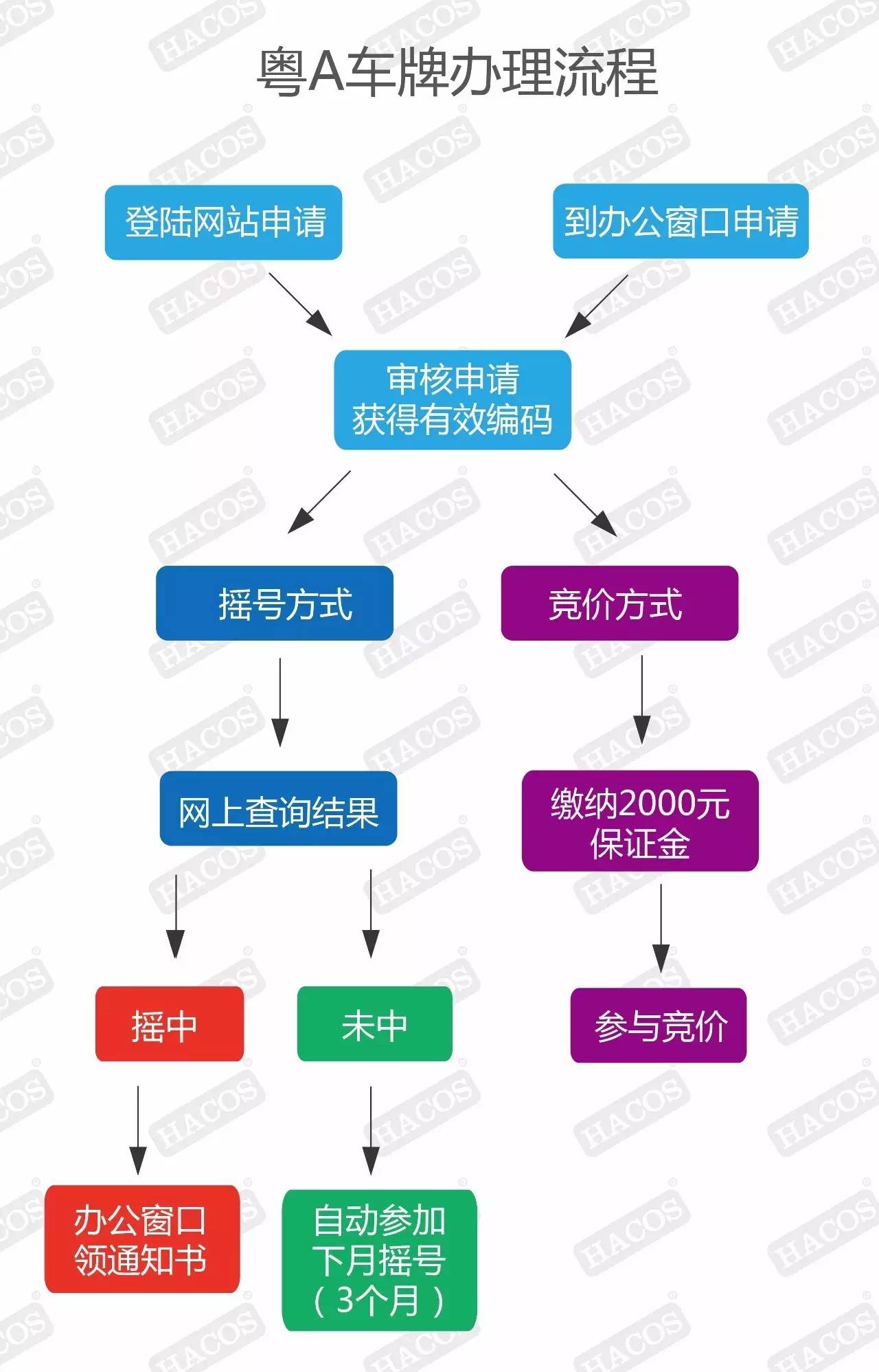 广东省车牌办理指南，流程、难点与解决方案