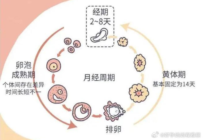 揭秘月经周期，为何仅半个月就来月经？