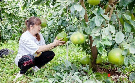 广东省雷州市近期新闻综述